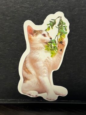 Cat playing with plant sticker